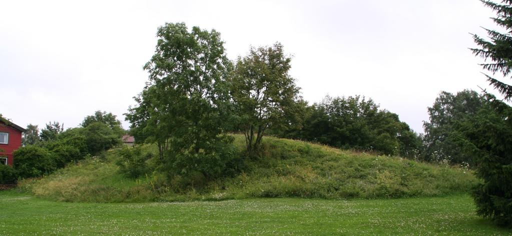 Figur 54 Bakkehaugen sett mot sørøst (venstre) og sett mot nordvest (høyre) (Foto: Jan Wesenberg/Sweco Norge AS) Artsliste: spisslønn platanlønn skvallerkål fløyelsmarikåpe engreverumpe blåhegg