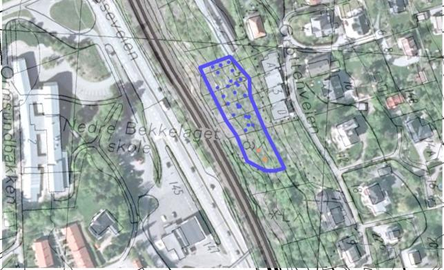 Grottenveien (37) Status Det foreligger en registrering av dragehode gjort av Jan Wesenberg fra 1999 i området. I Naturbase er lokaliteten registrert som kantkratt, hvor dragehodeforekomsten er nevnt.