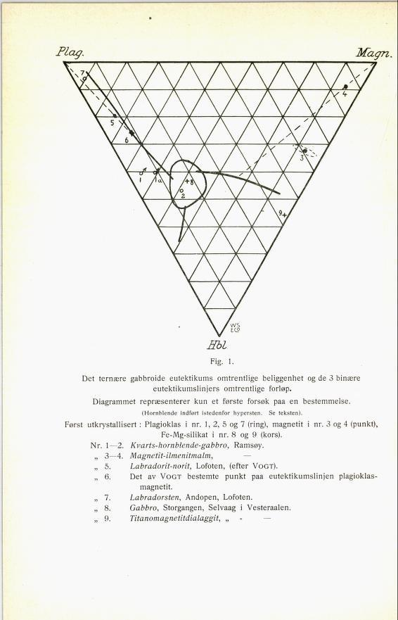 Fig. 1. Det ternære gabbroide eutektikums omtrentlige beliggenhet og de 3 binære eutektikumslinjers omtrentlige forløp. Diagrammet repræsenterer kun et første forsøk paa en bestemmelse.