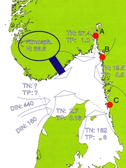 Figur 3-4 Beregnede gjennomsnittlige tilførsler i løpet av 90-tallet til de øvre 50 m i Skagerrak. Alle tall i 1000 tonn.