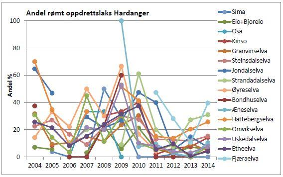 Selv om andel oppdrettslaks synes å ha avtatt i de senere år, har den tidligere år vært forholdsvis høy i mange elver i Hardanger, deriblant Etnevassdraget, med et maksimum på i underkant av 40 % i