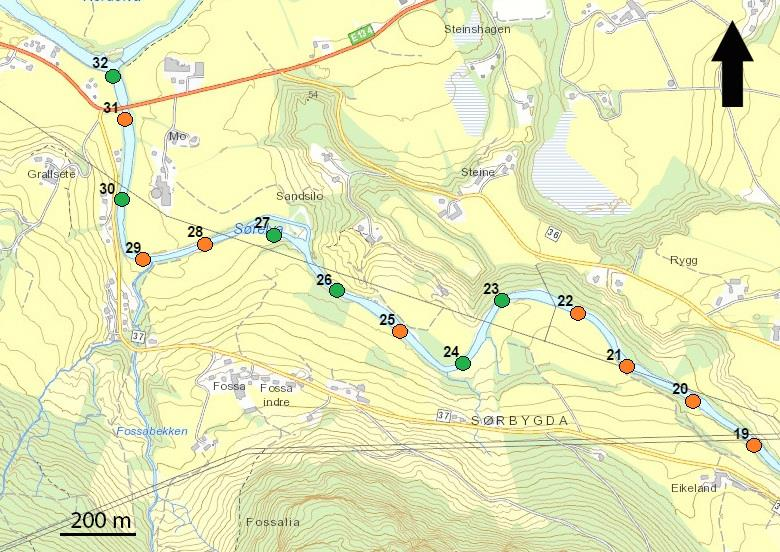 (0,25 m 2 ) i 32 transekter i Sørelva i april 2016.