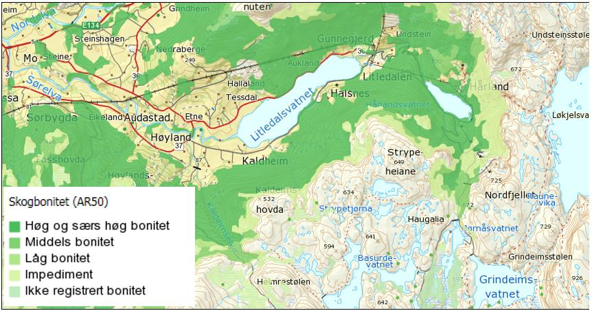 11.2 Status og verdivurdering Skog Skogen i området er lauvskog dominert av bjørk, og med noe gråor (kilden.skogoglandskap.no).