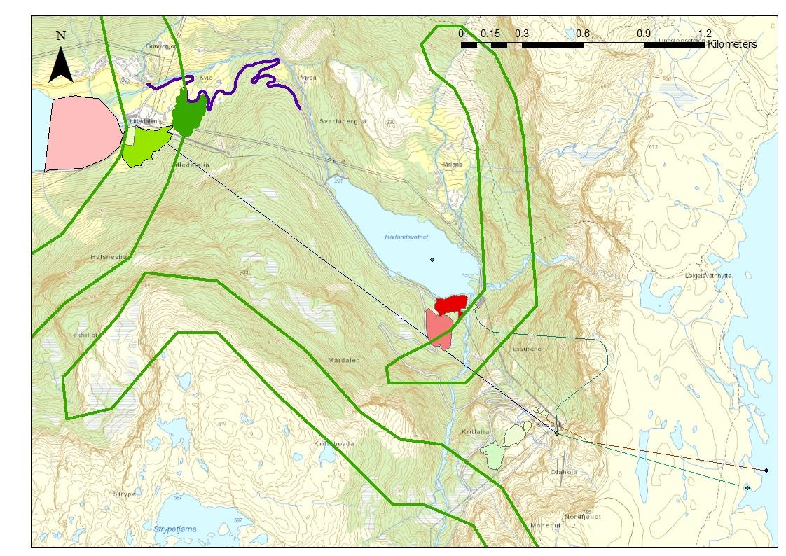 Figur 7-2 Vilttrekk (markert i grønn strek liten verdi. Kilde: Naturbase) og område i Litledalsvatnet viktig for andefugl (markert med rosa felt) 7.2.3 Litledalsvatnet Det er planlagt to tippområder ved Litledalen kraftstasjon.