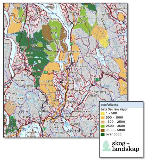 Sauehold i Akershus 2015 Det er tre klare trender i saueholdet i Akershus de siste to årene. Sauetallet er økende, antall produsenter er stabilt og tapstallet er synkende.