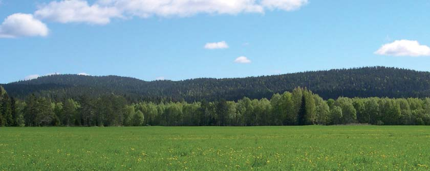 Borge Varde. Åsen hever seg over åsterrenget omkring Foto: T.