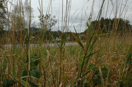 Arnadalen og Åsane til Nesttun og Flesland.