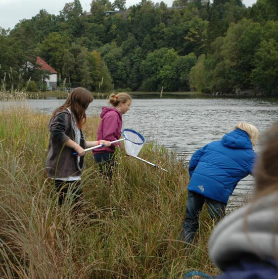 Den første gruppen vi intervjuet hadde om dyr på land: Hva har dere funnet? - Vi har ikke funnet så mange dyr, men vi fant en møll, 3 meitemarker og 3 biller.