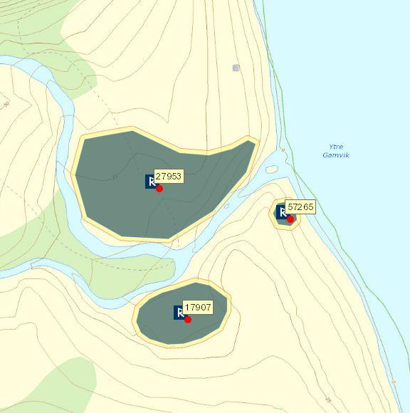 nærheten til breen og de vanskelige forholdene med stor vannføring i elvene som følge av bresmelting. Det ble ikke gjort nye registreringer i denne vika. Fig.