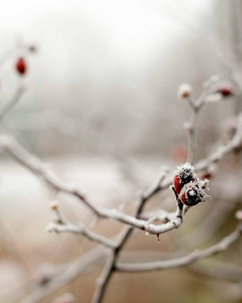 Årets BOSO medarbeiderpris ble tildelt Leder