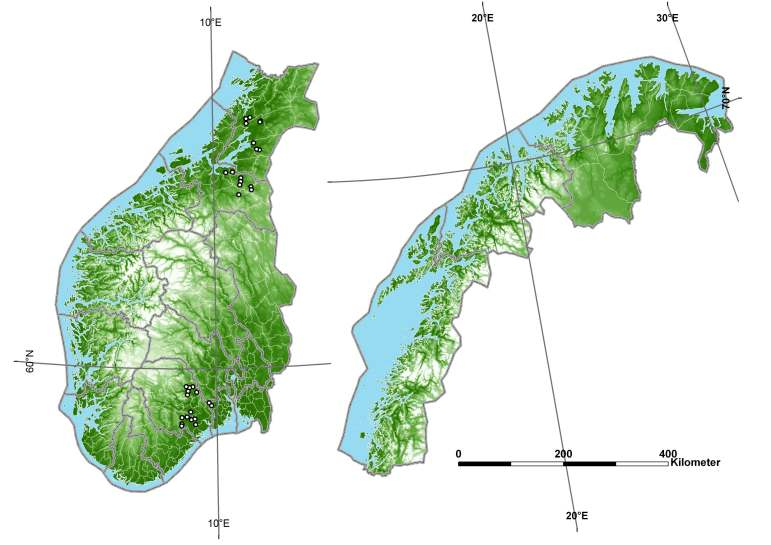 3. Langtidseffekter av elg- og