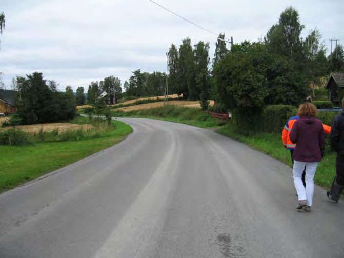 Reguleringsplan detaljregulering, gang- og sykkelveg langs Storlinna, Andfossen- Dales veg, Gran kommune 12.08.