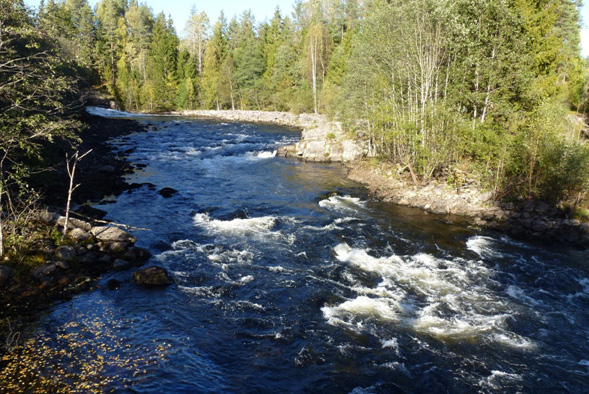 Oppstrøms Piperudsletta