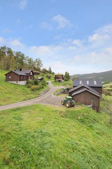 Om flytting til Heidal og kjøp av gårdsbruk -Våre utfordringer Vanskelig å se feil og mangler i takst og på kort visning. Svak kunnskap om lokale forhold som gir muligheter og begrensinger i drift.