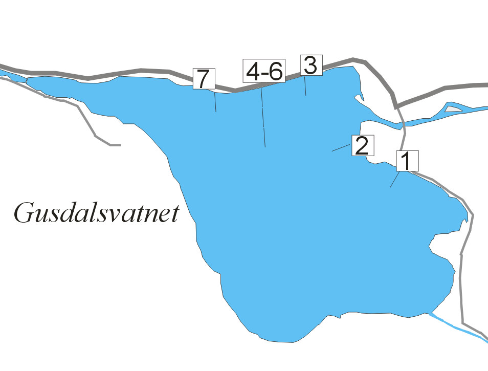 Figur 6.2.1. Gusdalsvatnet i Åheimsvassdraget med innteikna plassering av garn under prøvefiske 29. oktober 2009. Etter det første året er aureungane om lag 6 cm.