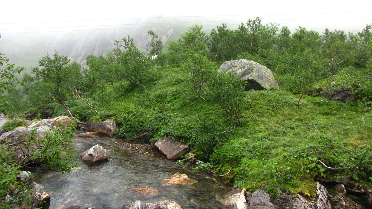 Figur 3. Området hvor inntaksdam planlegges på kote 320 moh. Foto: Geir Arnesen. Figur 4. Området der kraftstasjon planlegges på kote 100 sees midt i bildet der kraftlinja krysser elva.