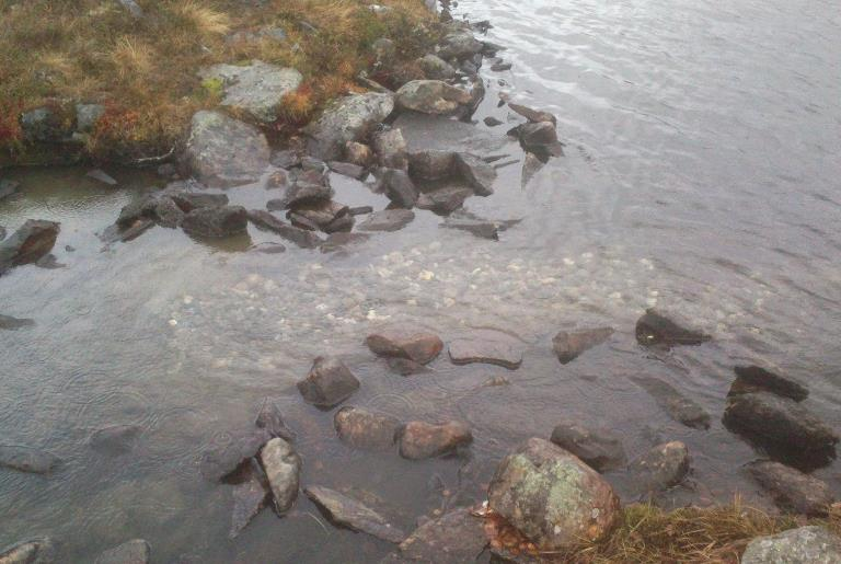 ved å lage dypål og/eller samle vann i grunne partier eller ved å flytte på stein for å