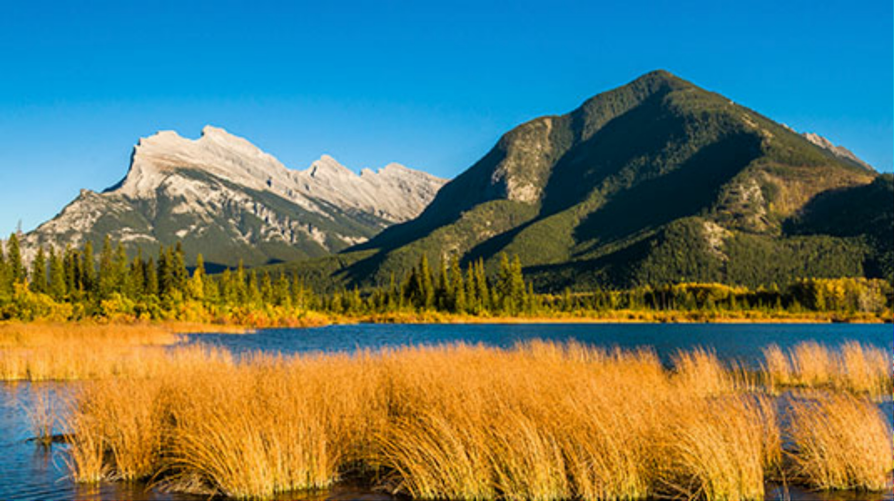 Vi kan også anbefale: Ta taubanen opp på Sulphur Mountain (2451 moh.