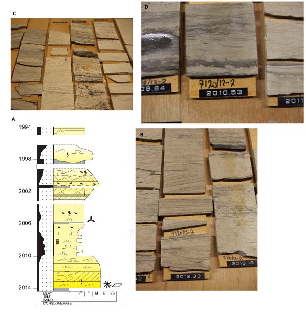 Figur 4.38: Faciesassoaisajon HA4. A) Utsnitt av logg 7120/12 2. Tegnet av Eni Norge, 2010. For tegnforklaring se figur 4.30. B) Rifler (H14), kryssjikt (H15) og «soft sediment deformation».