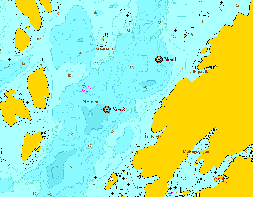 Figur 2.2. Kartutsnitt fra området i Nesaosenmed innsamlingsstasjonene markert.