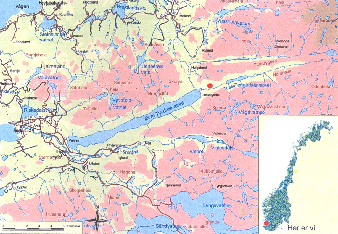 Tetthet av laks- og ørretunger i Årdalsvassdraget i 23 og