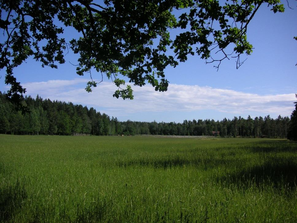 Arealformål Akvakultur Fiskeri Landbruk Skogbruk Reindrift