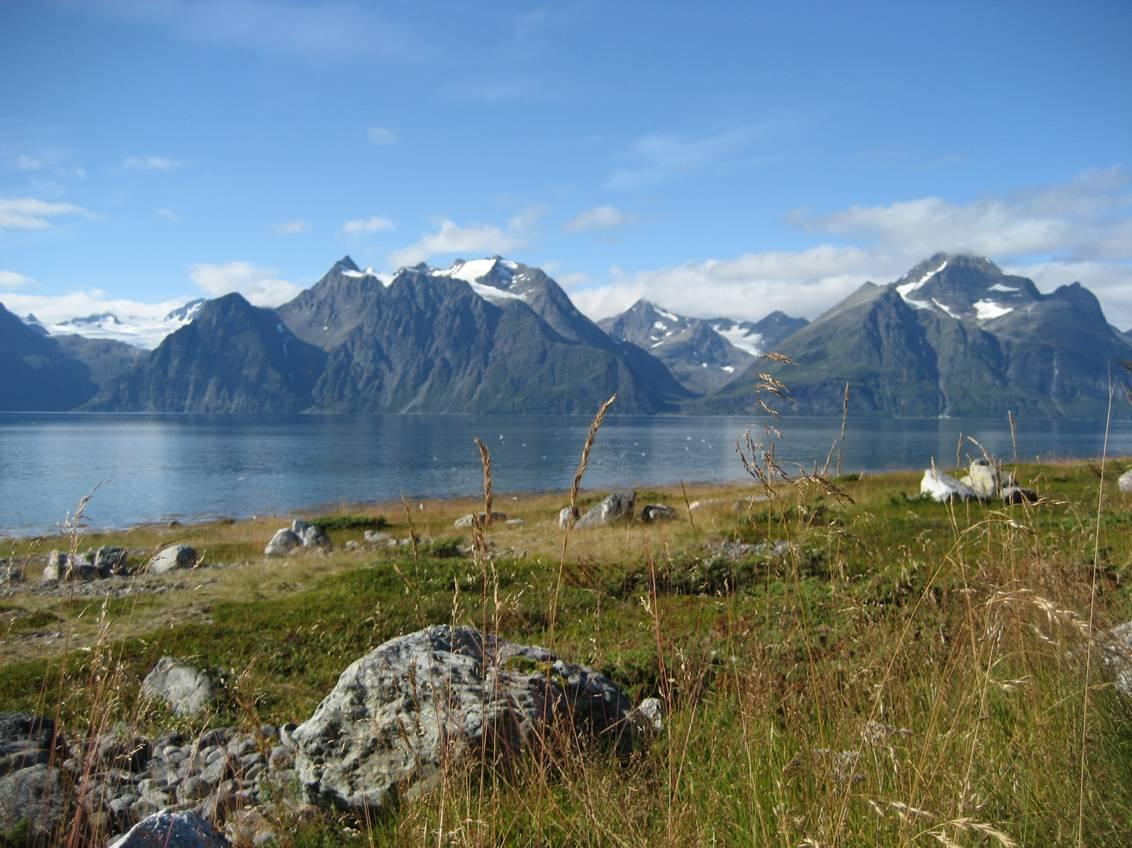 2.3.1 Berggrunnsgeologi Side 13 av 57 Mesteparten av Lyngenhalvøya er et markert fjellområde med særlig høye fjell og alpine landskapsformer i et bredt belte langs halvøyas akse, og med