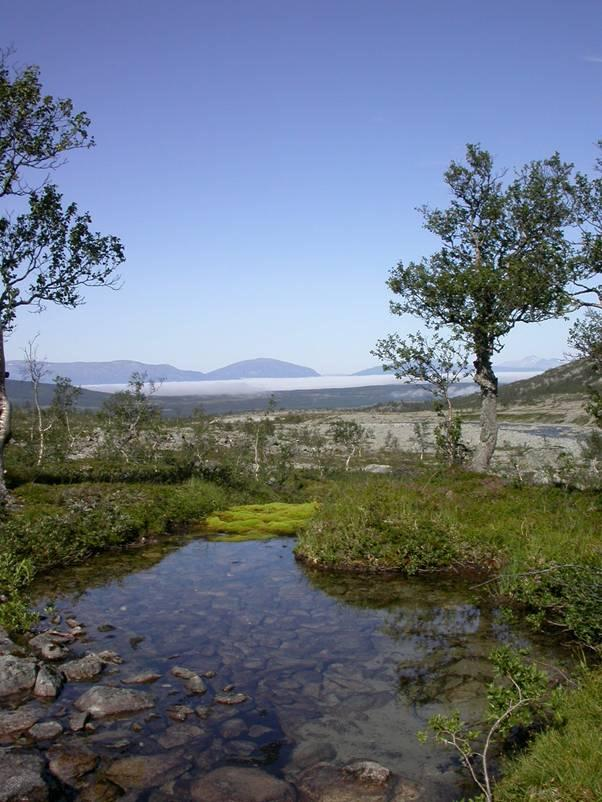 Friluftsliv/jakt/fiske: Side 54 av 57 Området inngår i et område for elgvald, men det er ikke dannet noe grunneierlag for området. Området opp mot Strupskaret er mye brukt som turterreng.