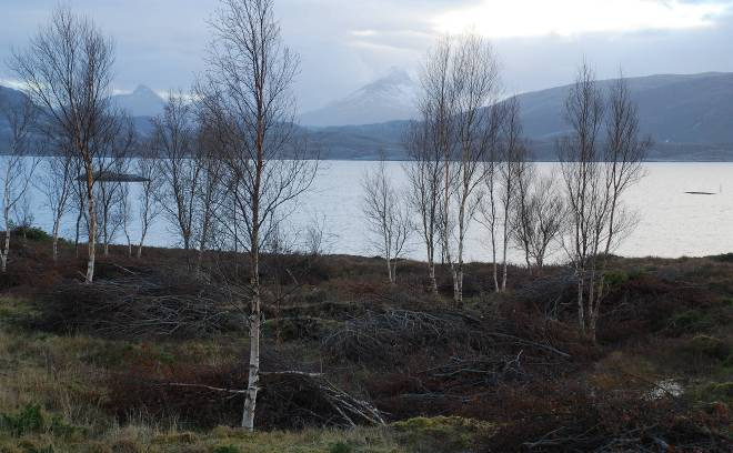 Som resultat av dette vil en større andel av midlene kunne disponeres til løpende drift og skjøtsel etter hvert. Fra kurs i skjøtsel av kystlynghei på Skeisnesset i mars 2010.