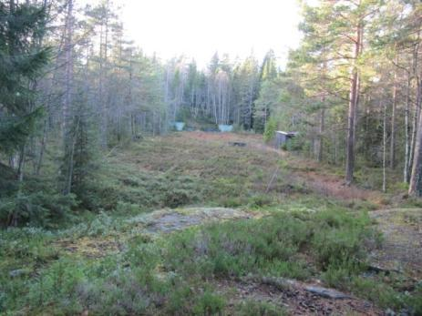 Bakgrunnsverdi For å få en indikasjon på metallnivå i det som er ansett som upåvirket jord (bakgrunnsverdi) i området ble det tatt en prøve av jorda nedstrøms skyteretningen for bane 2, på østsiden