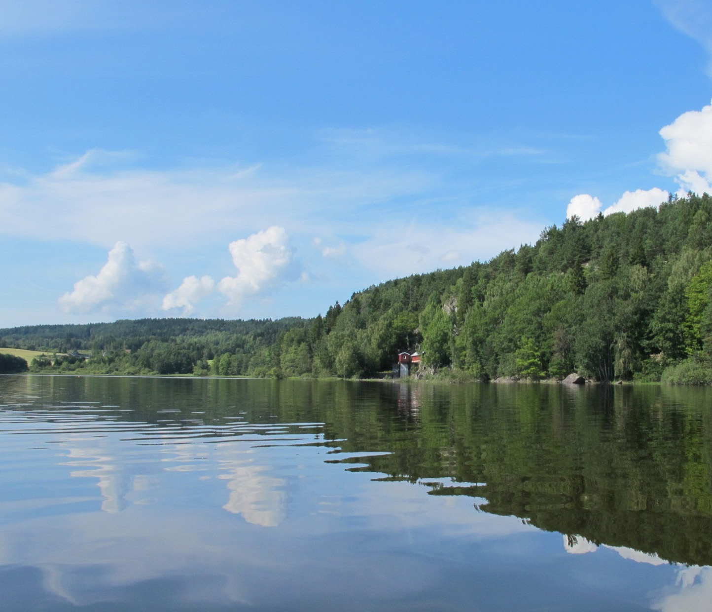 RAPPORT L.NR. 6458-212 Overvåking av Vestvannet og Borredalsdammen i Østfold, 212 Vestvannet august 211.