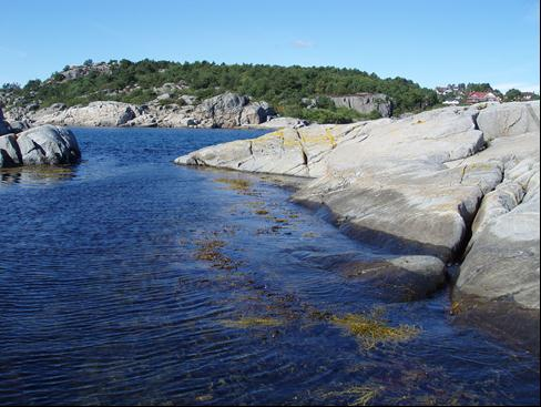 Hvilke marine naturverdier finnes i strandsonen?