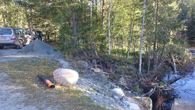 Vurdering Formålet med fredningen av Trillemarka-Rollagsfjell naturreservat er å ivareta et stort og sammenhengende naturskogområde med naturlig plante- og dyreliv og naturlige prosesser i skog.