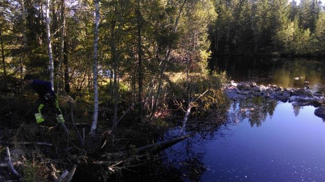 punkt 3). Tiltaket må derfor vurderes etter 48 i naturmangfoldloven.