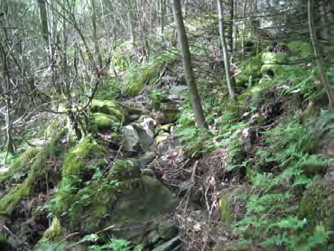 En sti på vestsiden av Liavatnet er avmerket i kulturminnegrunnlagets kartdel, men ikke beskrevet nærmere. Denne går opp fra gården Lien, som i dag er fjernet av eksisterende rv. 555.