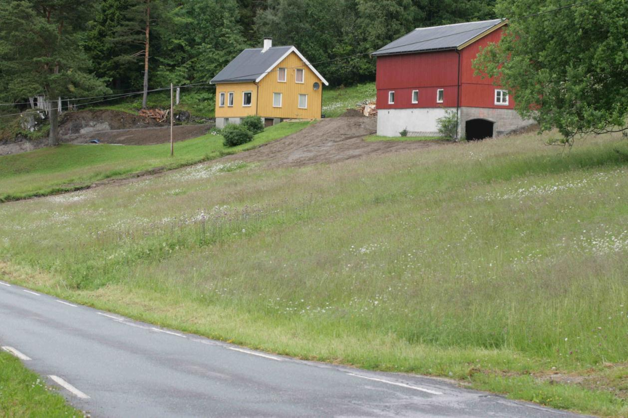 Aure kommune, Møre og Romsdal