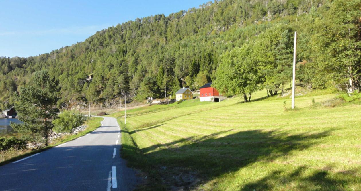 Bildet viser at mesteparten av lokaliteten er slått med beitepusser, utenom noe areal nedenfor bygningene, men