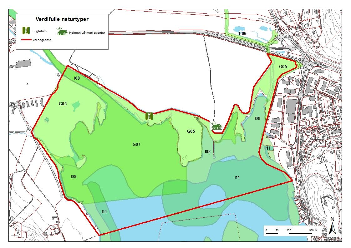 Forvaltningsplan for Ilene naturreservat Del II grenser finnes også smale, artsrike ugraspregete kantsamfunn. Reinfann og åkertistel er typiske arter i slike kanter.