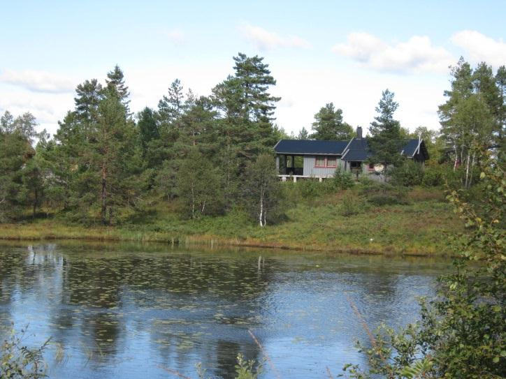 Veg og trafikkforhold Området har i dag adkomst fra Fv 308 ved Hannåsmoen, via Fv 301 mot Abusland og på kommunal veg til Fjellestad grenda. Fra gårdene er det privat veg opp i området.