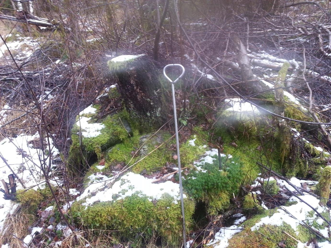 Det har også vore teke ut litt skog her. Det er ikkje spor etter ras her frå nyare tid, og ein reknar det som svært lite sannsynleg at det skal gå nye ras her.