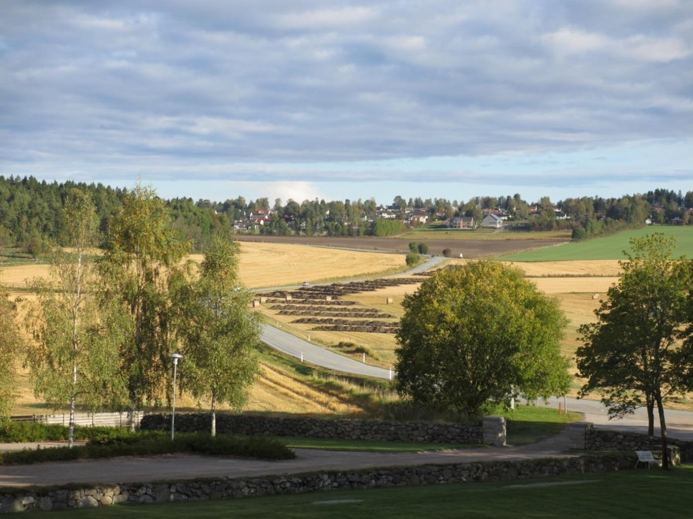 Figur 8: Lokaliteten