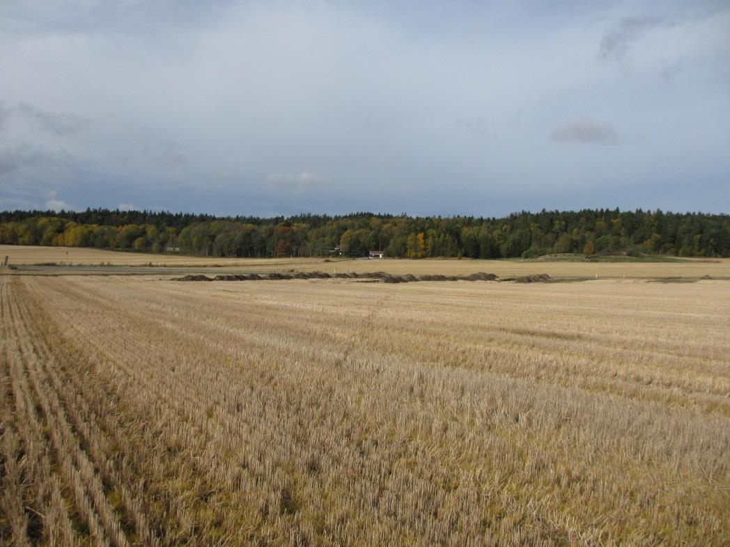 Figur 10: Oversiktsfoto tatt mot ID174 317. Ett av stolpehullene, benevnt med S9, ble utgravd. Undersøkelsen viste at stolpehullet var tydelig markert i profilet.