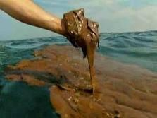 Akutt oljeforurensing Registrert oljepåslag langs omkring 1040 kilometer strandlinje i Mexicogolfen hvorav
