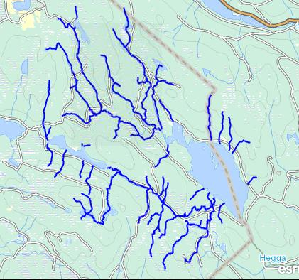 VF: Bekkefelt til Øyangen Gjelder kun de vassdragsstrengene, tjern og innsjøene som er markert ut med mørkeblått. Type: Elvevannsforekomst Vanntype: Små, kalkfattig, humøse ID/Nr.