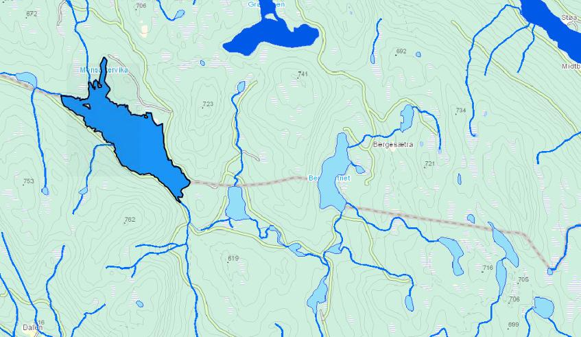 VF: Store Svartungen Gjelder kun innsjøen Store Svartungen. Type: Innsjøvannforekomst Vanntype: Små-middels, kalkfattig, humøs ID/Nr. 002-