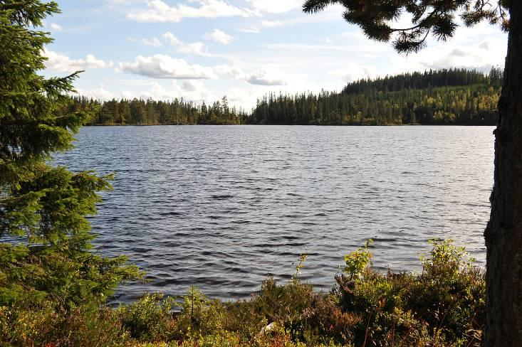 Omfatter mindre innsjøer, tjern, bekker og delnedbørsfelter vest for Steinsjøen og som drenerer til Høverelva og videre til Hurdalssjøen i nord.