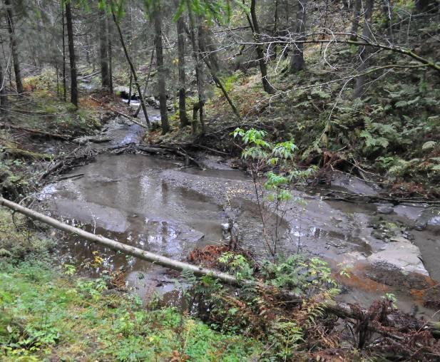 1541-R Vassdragsnr. 002.DB2A Kommune: Eidsvoll Risikovurdering: Ingen risiko (ikke revurdert Hoh: > 200 moh Kalkinnhold Antatt Humus: Antatt Turbiditet - Lengde: 15,6 km.