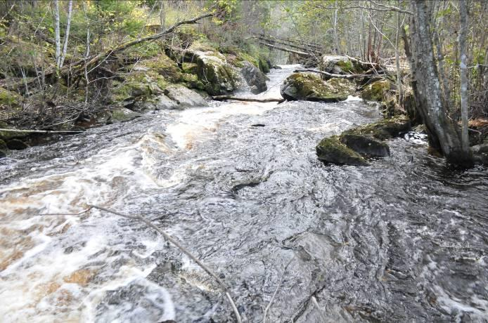 Risikovurdering: Risiko (ikke revurdert) Hoh: > 200 moh Kalkinnhold 1,9 2,2 mg/l Humus: 79-90 Mg Pt/l Turbiditet - Lengde: 79,6 km.