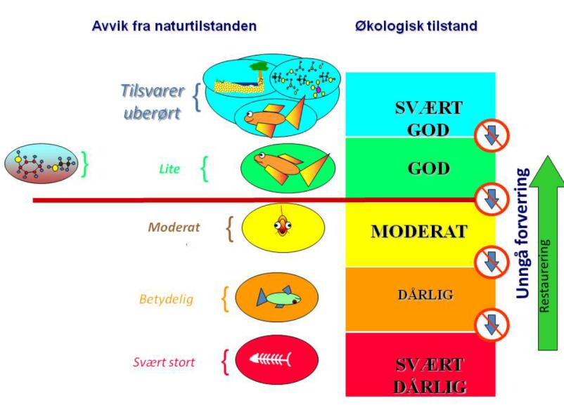 Innledning Dette notatet er et innspill til fylkesmennene i arbeidet med å fastsette miljøtilstanden for vassdragene i Vannområdet Hurdalsvassdraget/Vorma.