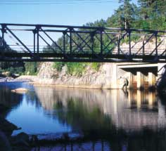 I Tovdalselva, der fangstene har vært mye lavere og variert mellom 33 og 345 kg, var det ingen sammenheng mellom tettheten av laksyngel og fangsten av laks året før (gytebestanden).